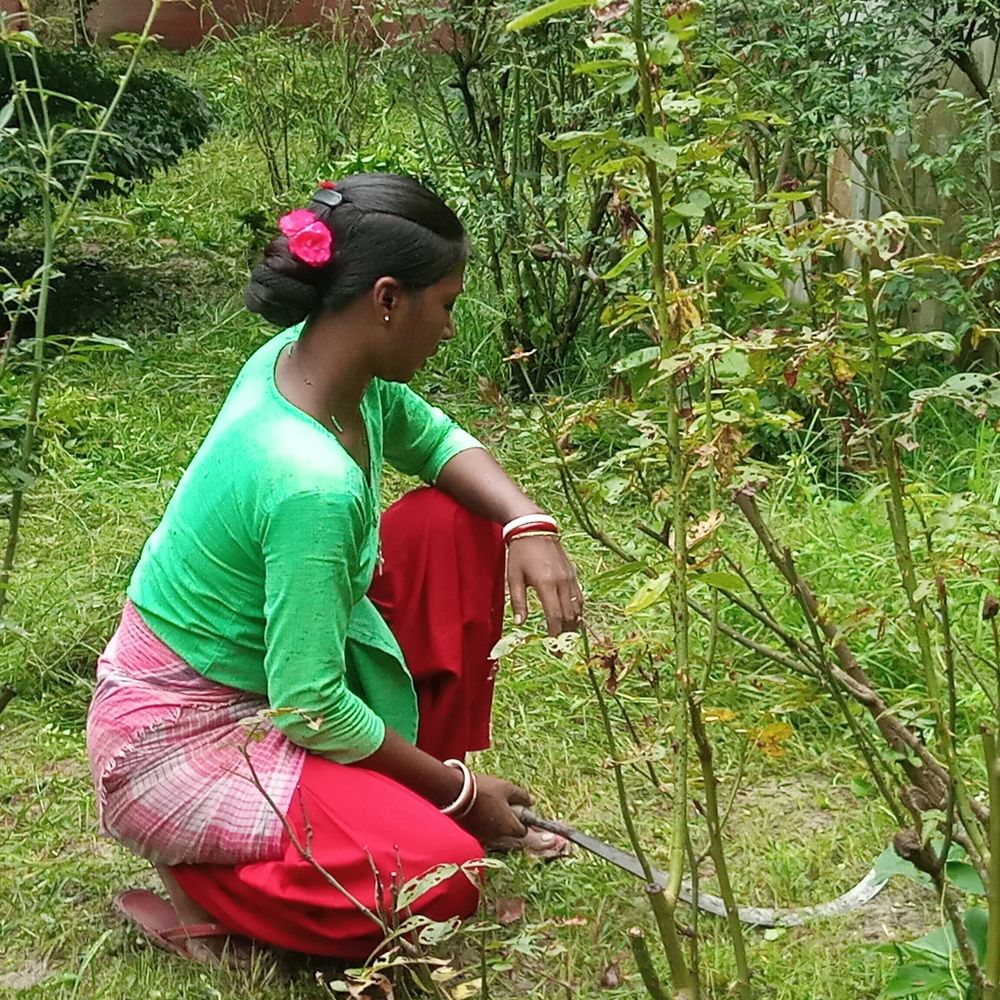 Фотография автора Tom Kottackal