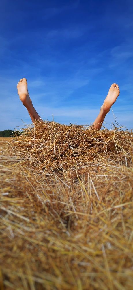 Photograph by Елена Жданова