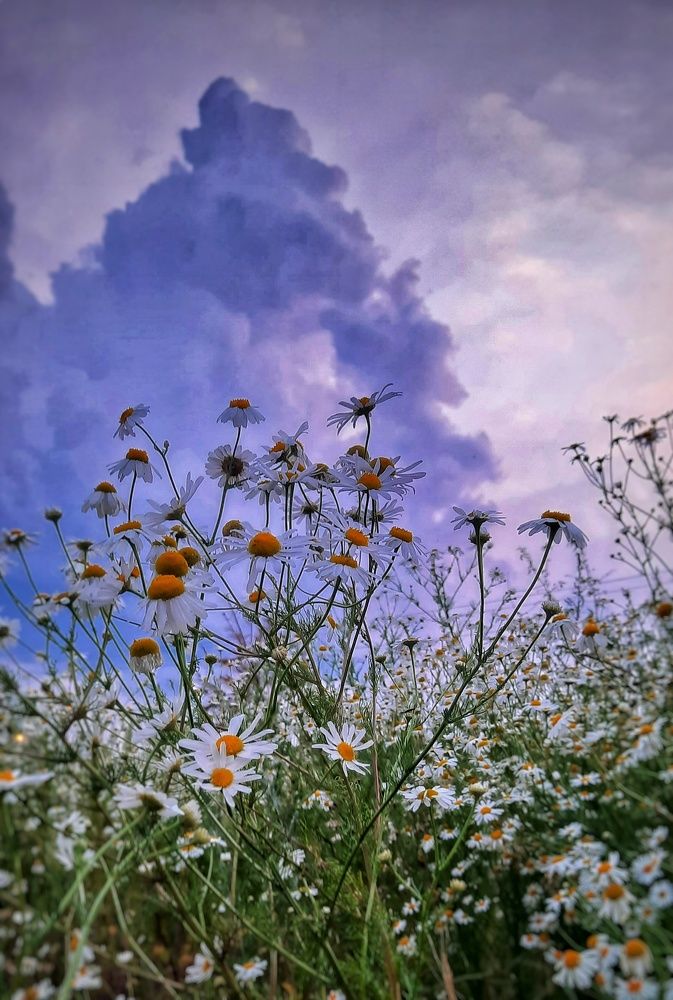 Photograph by Елена Жданова