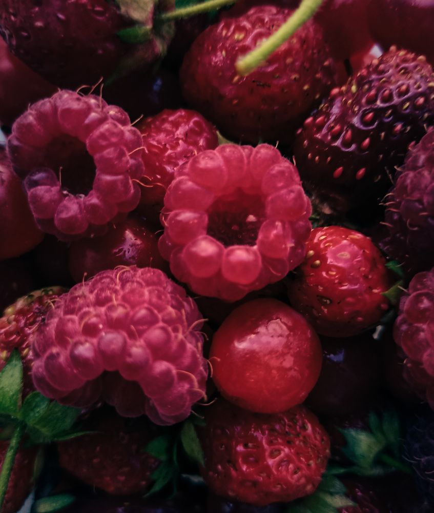 Фотография автора Татьяна Шахова