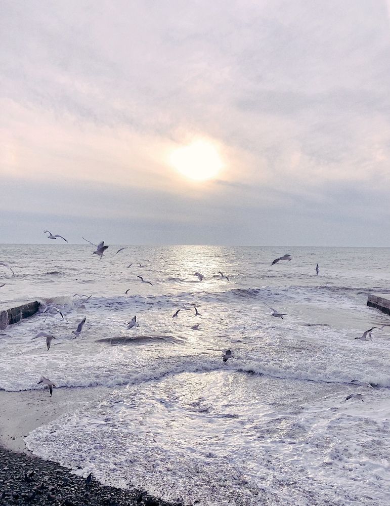 Photograph by Виктория Колесникова