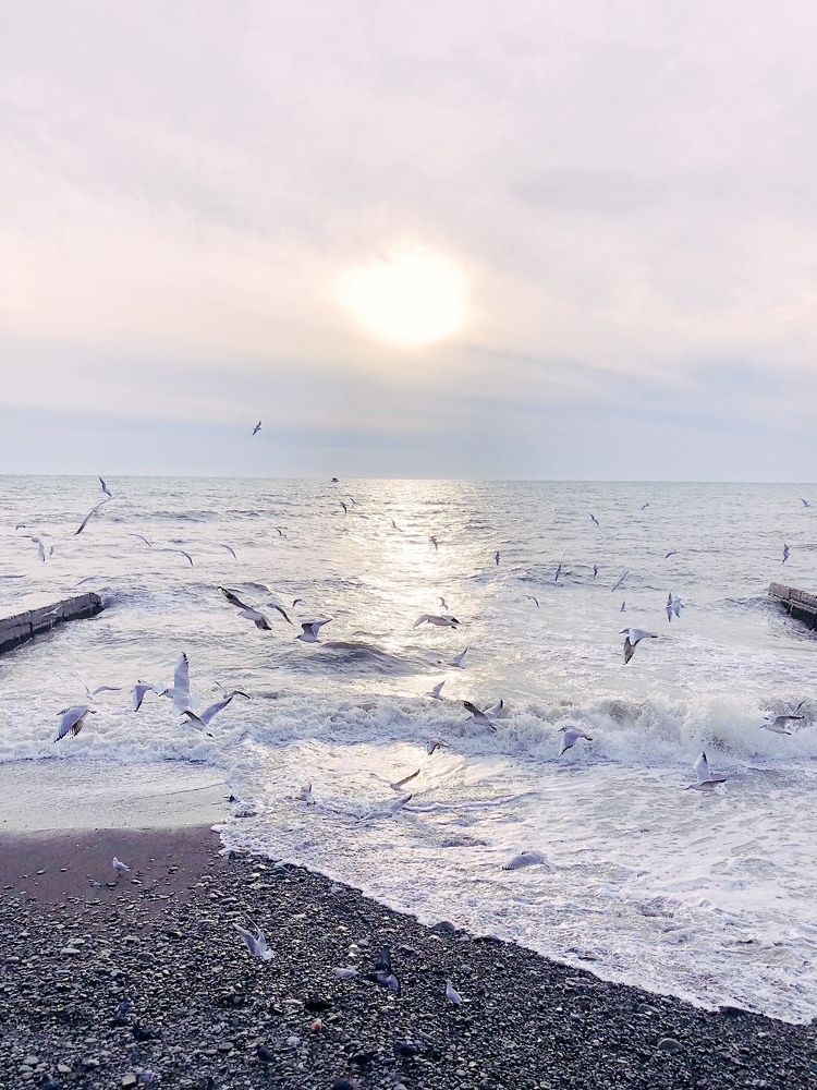 Photograph by Виктория Колесникова