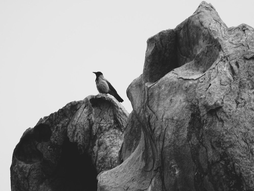 Photo #7950267