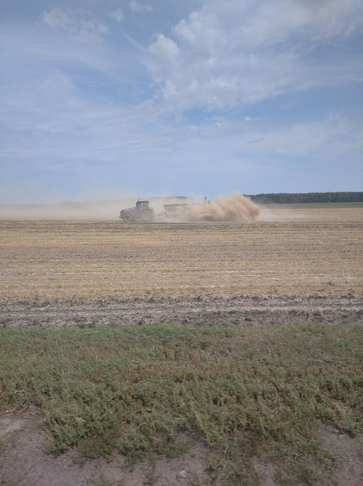 Photograph by Елена Коробченко