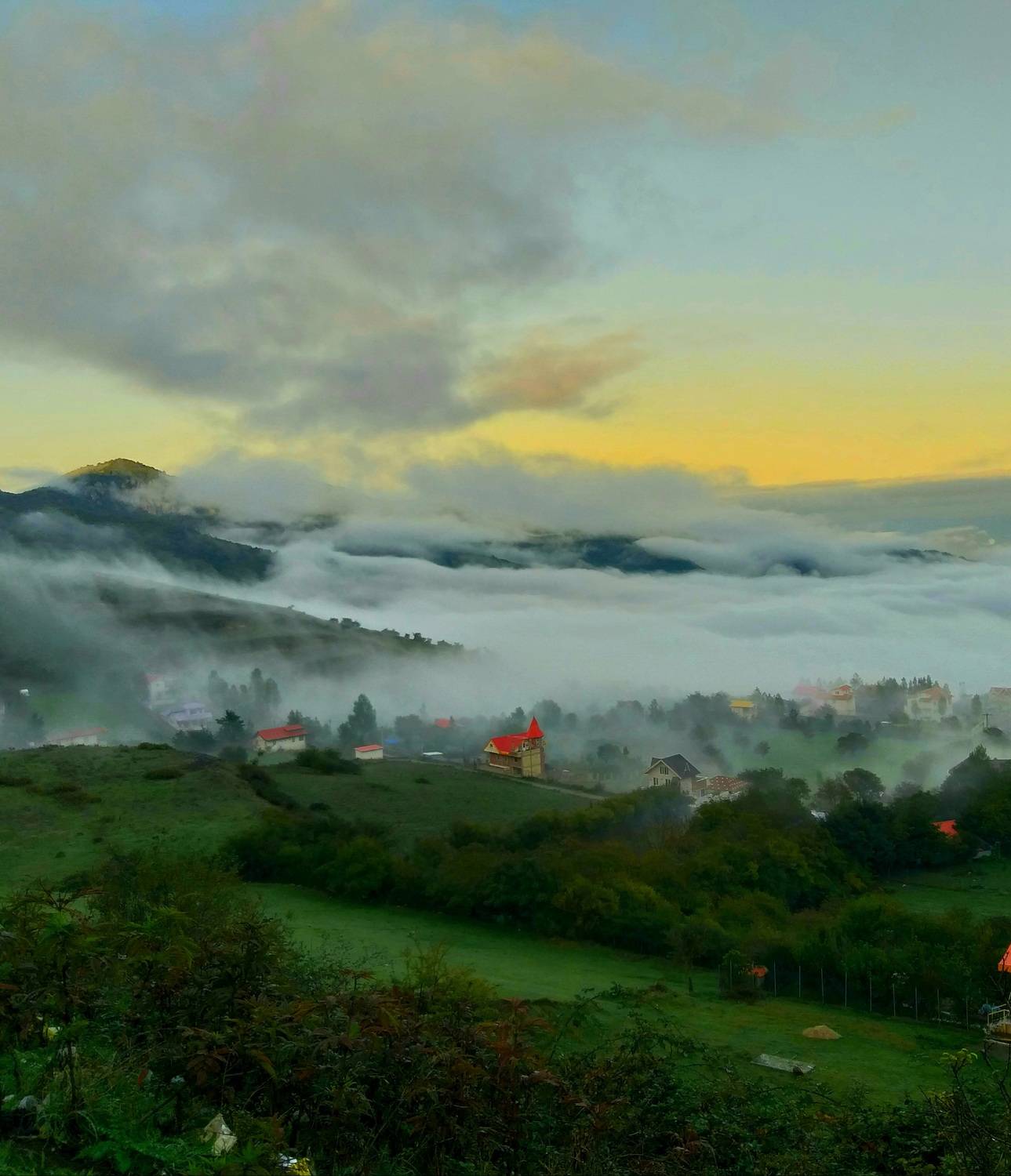 Beauty in the fog
