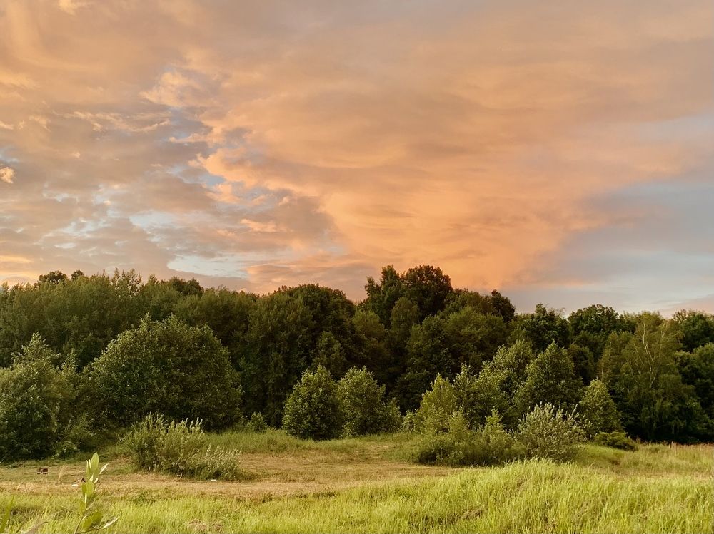 Photograph by Elena Lukashina