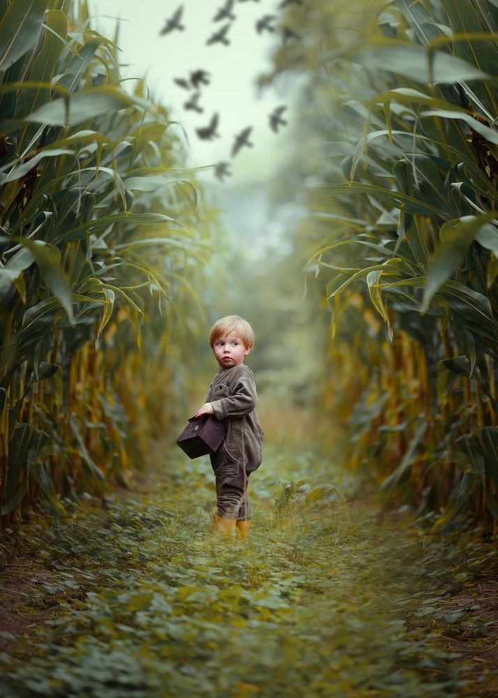 Фотография автора Kamila Culwell