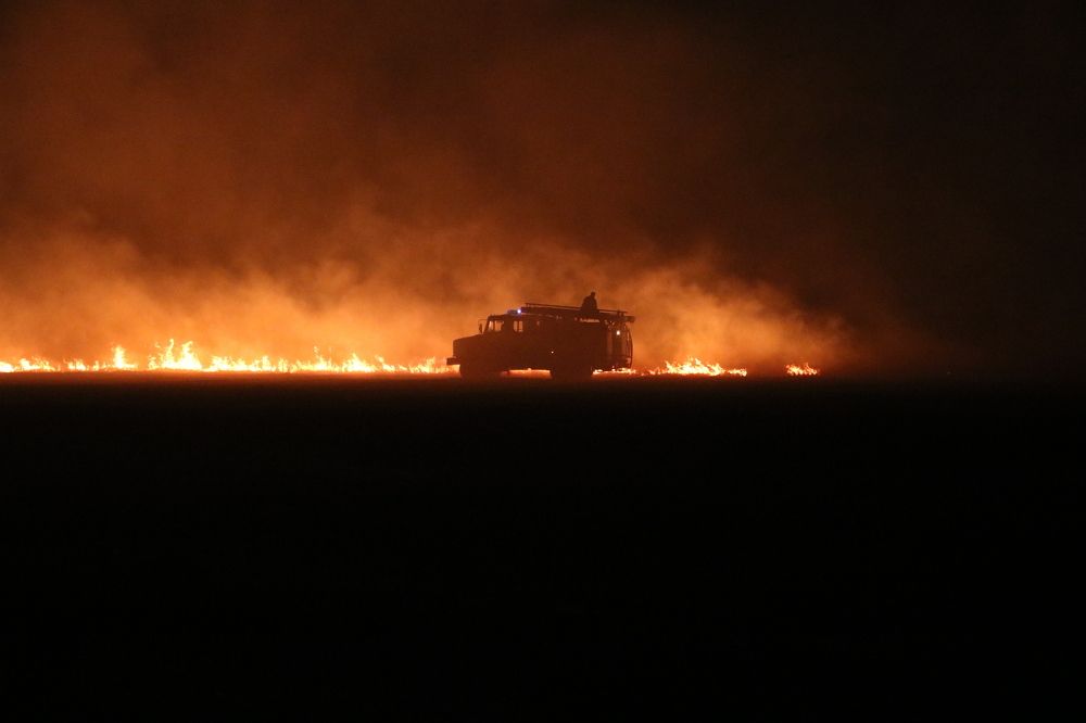 Photo #7950628