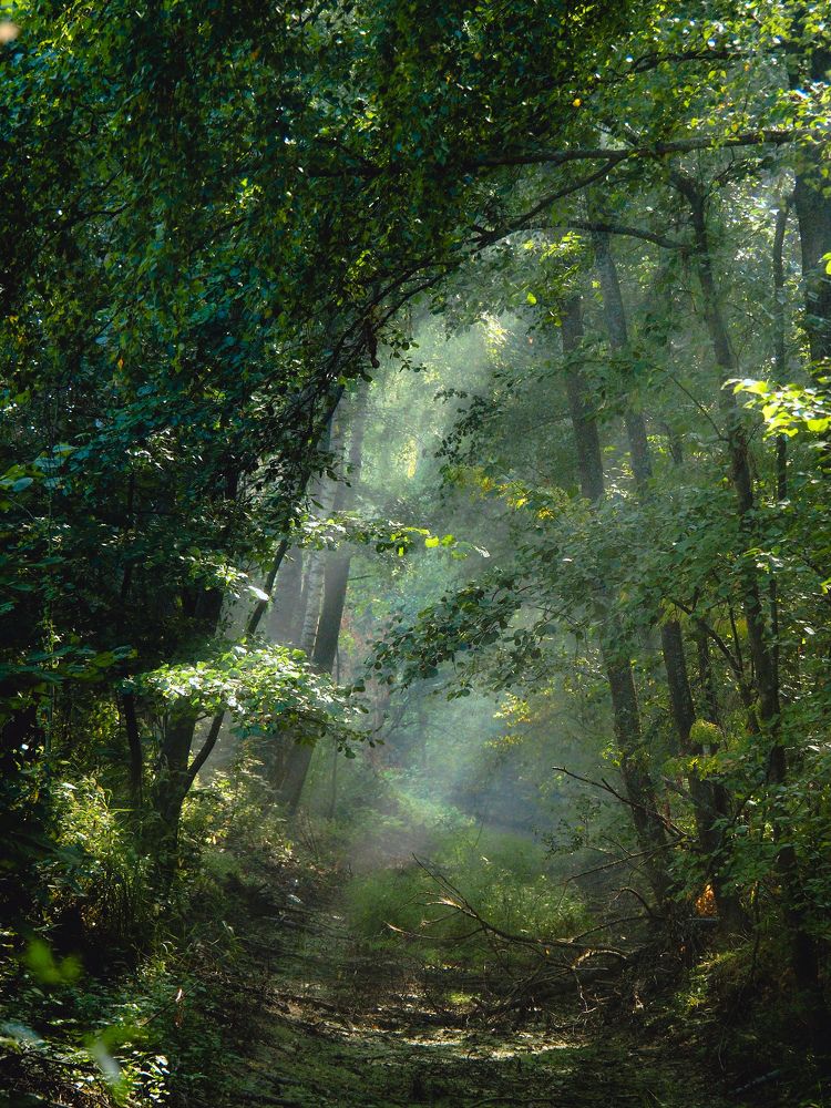 Photograph by Маргарита Смоленская