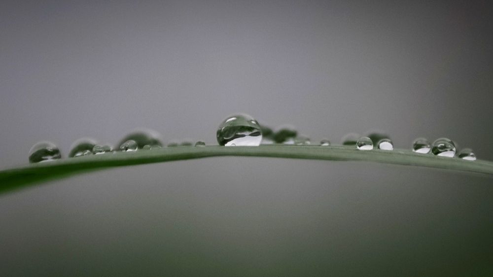 Photograph by Татьяна Романова