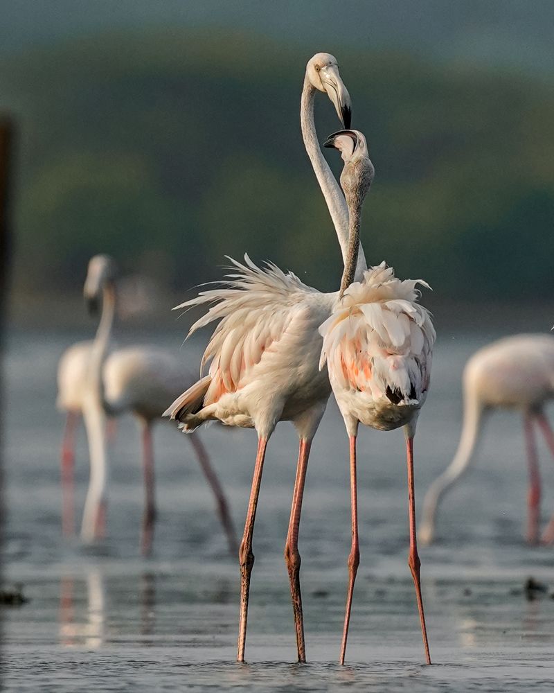 Photograph by Sandeep G S