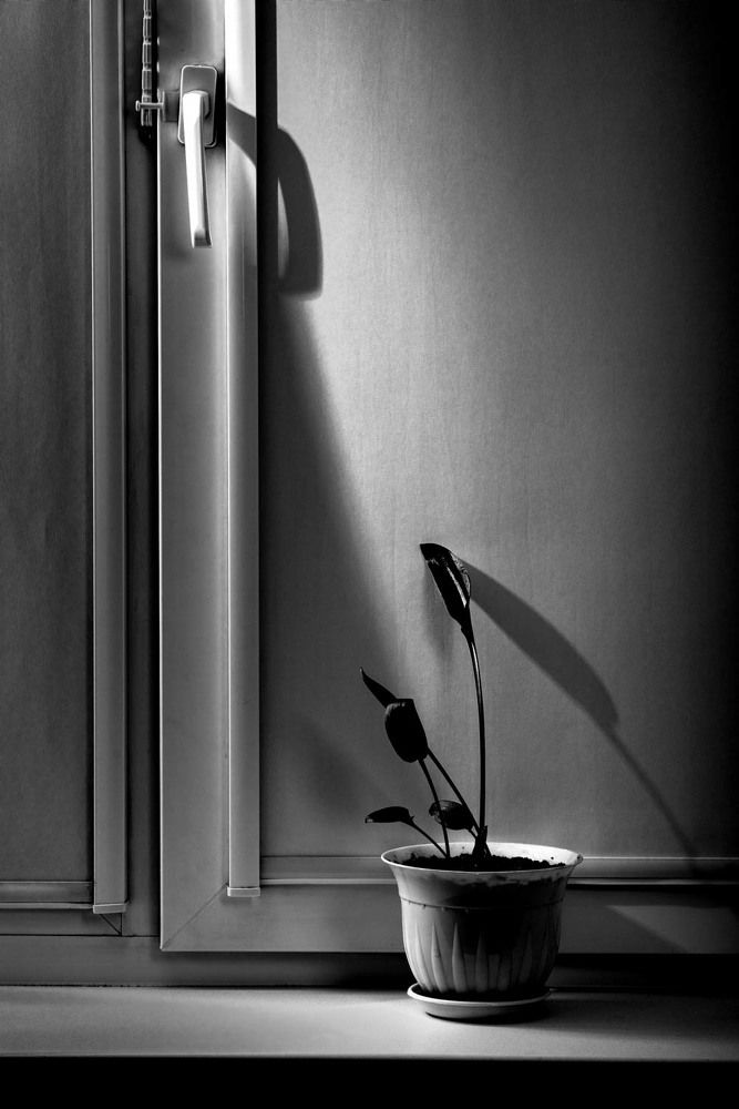 Photograph by Равиль Исмаилов