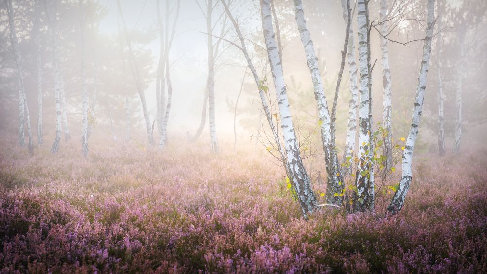 Photograph by Katarzyna Bochniak