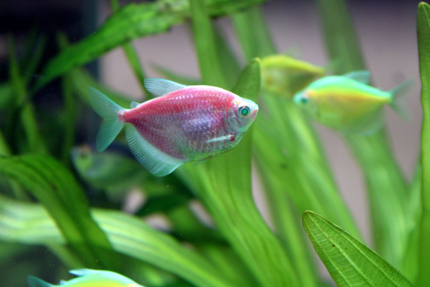 Photo #7951051