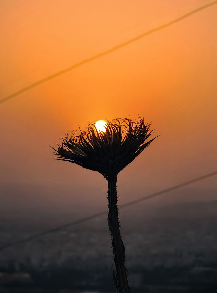 Фотография автора Mohammad Mohseni