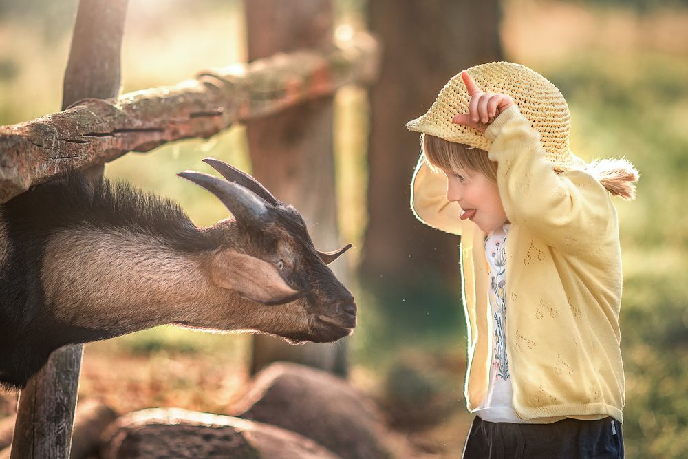 Photograph by Козел Марта