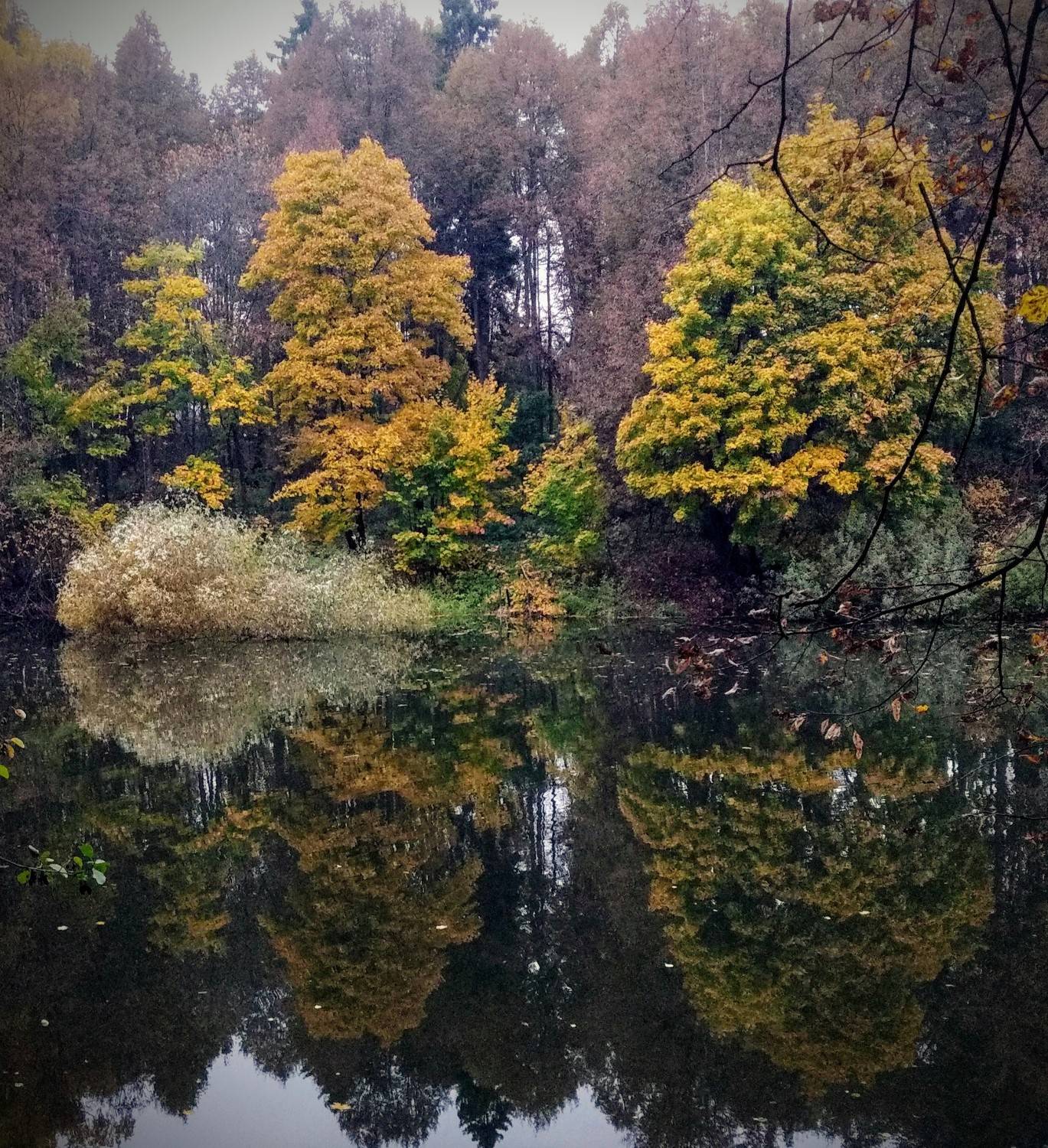 Осенний парк