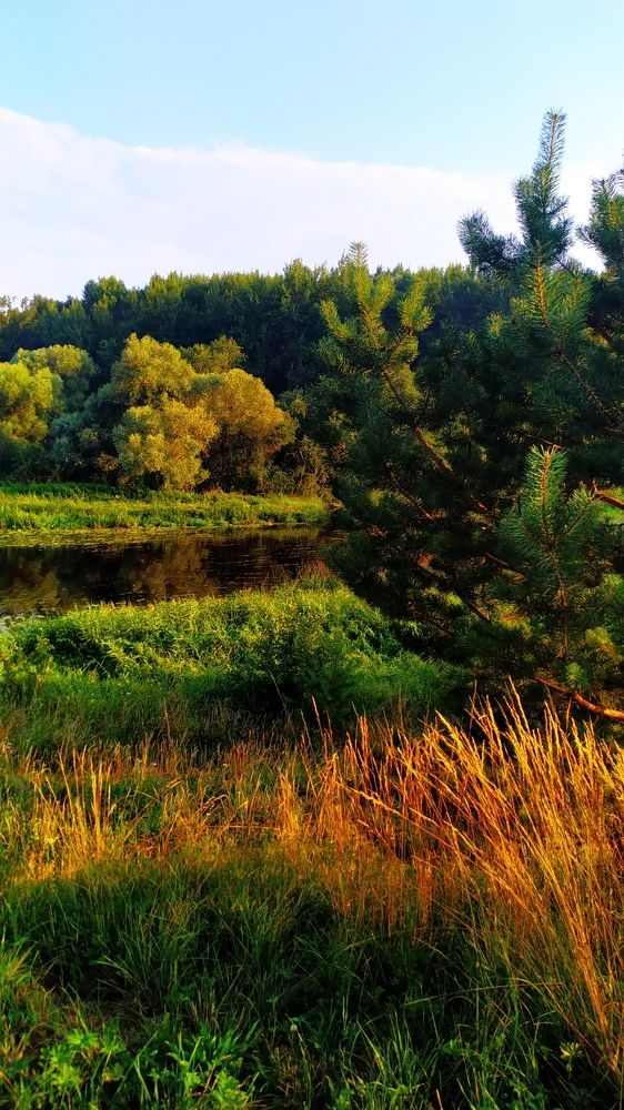 Photograph by Дарья Малкина