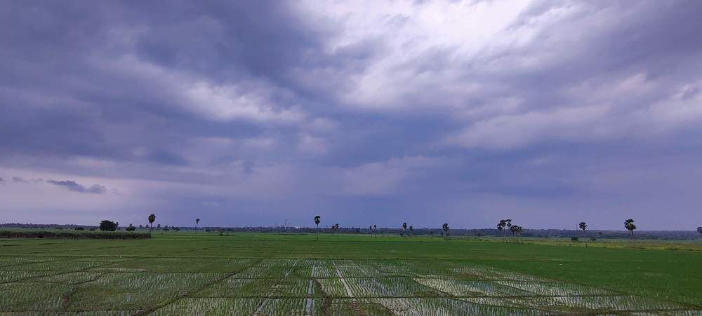 Photo #7951464