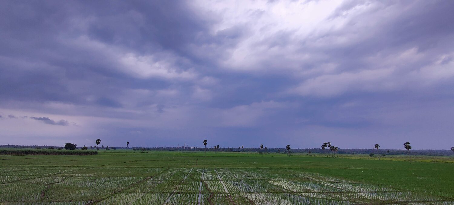 Photo #7951464