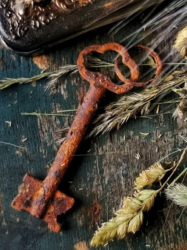 Photograph by Ирина Ветюгова