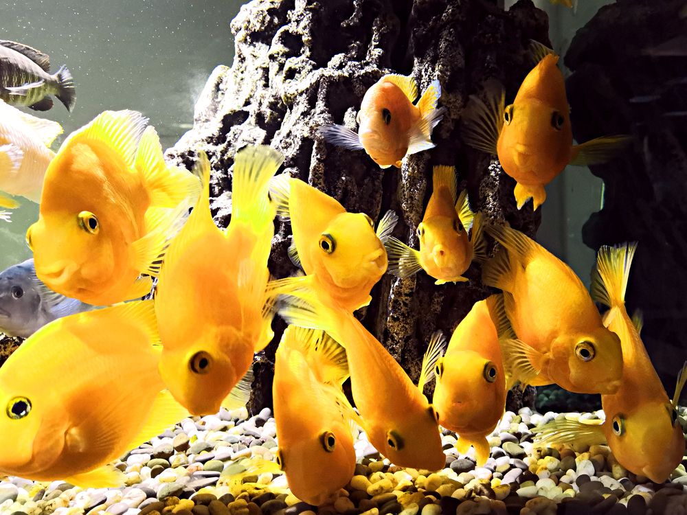 Photograph by Екатерина Пантелеева