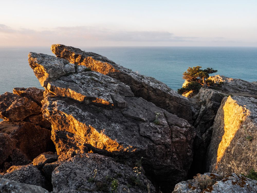 На мысе Алчак.Август.