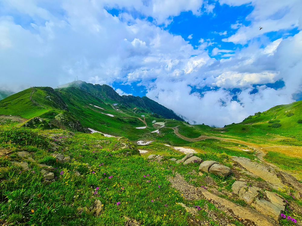 Зелёные горы