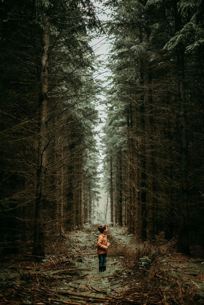 Photograph by Sandra Tines