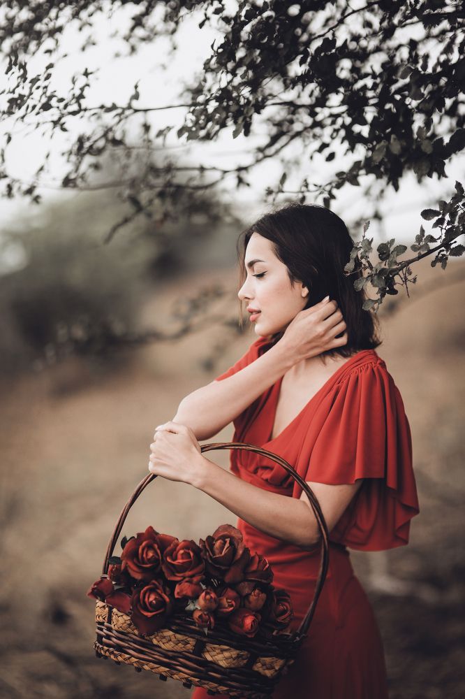 Photograph by soltanii setareh