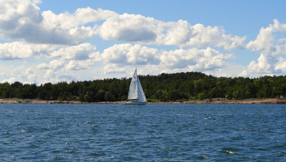 Photograph by Алина Голубева