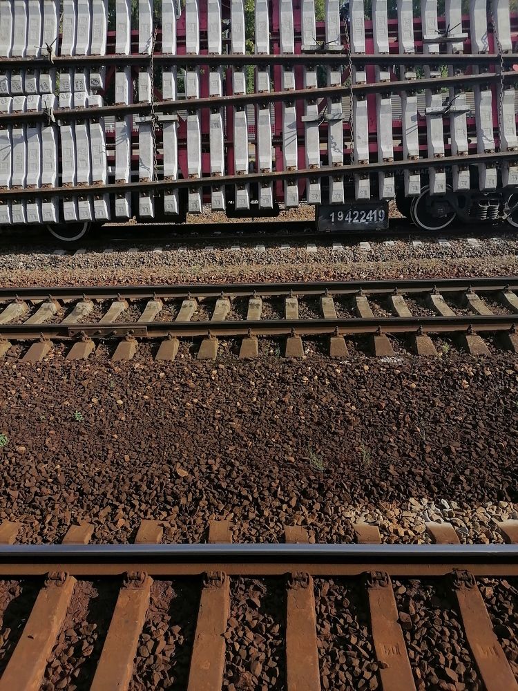 Фотография автора Сусанна Галоян