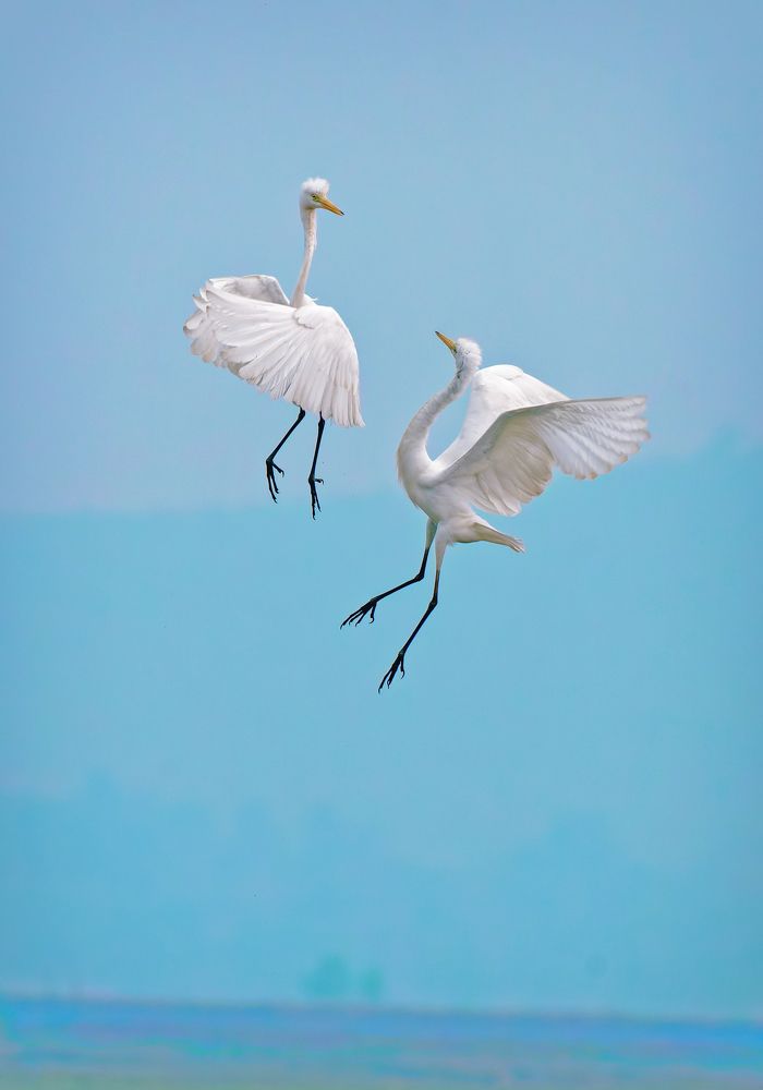 Photograph by Indranil Ghosh