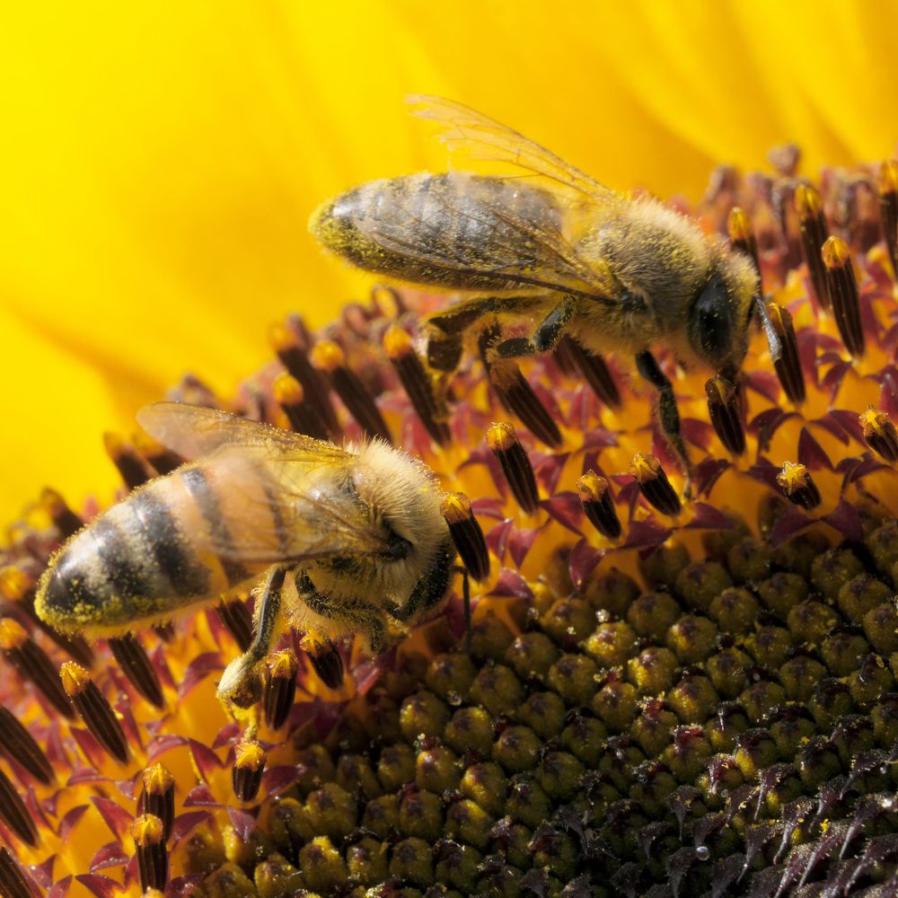 Photograph by Владимир Белобаба