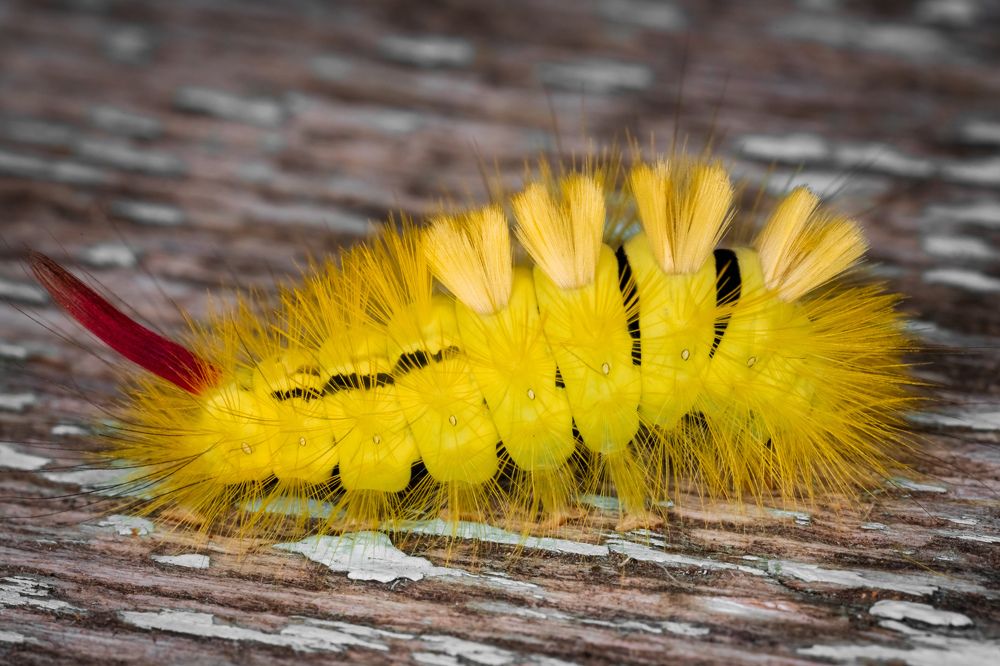 Photograph by Oleg Butorin