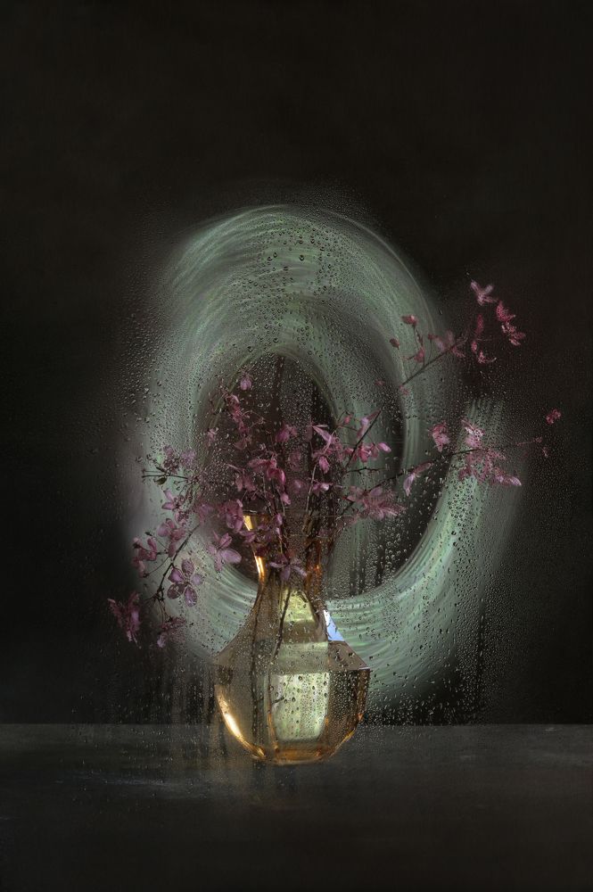 Яблоневый цвет