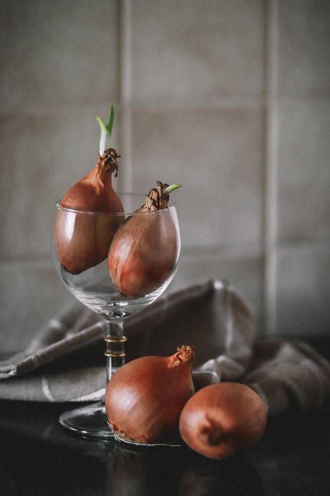 Photograph by Олеся Лукач