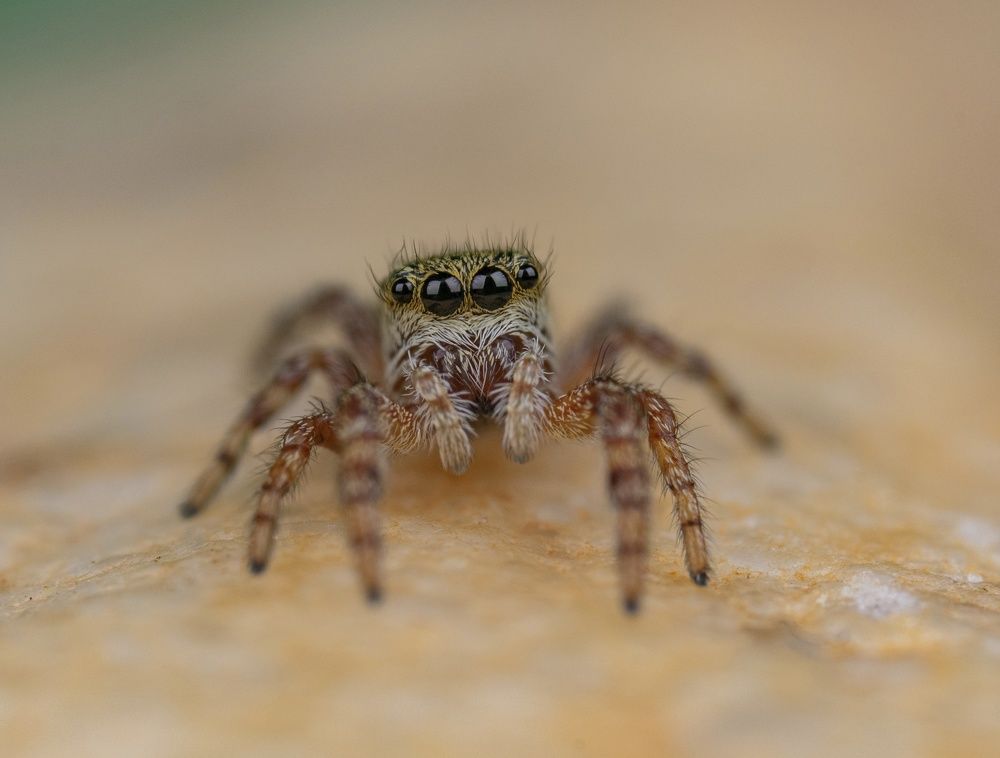 Photograph by Овечкин Павел