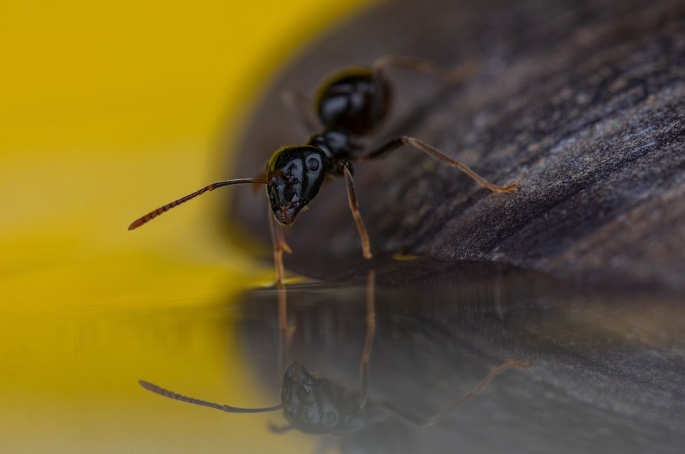 Photograph by Овечкин Павел