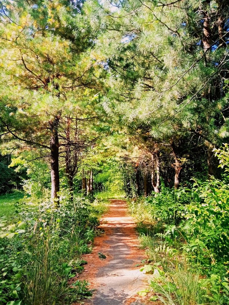 Photograph by Мария Опритова