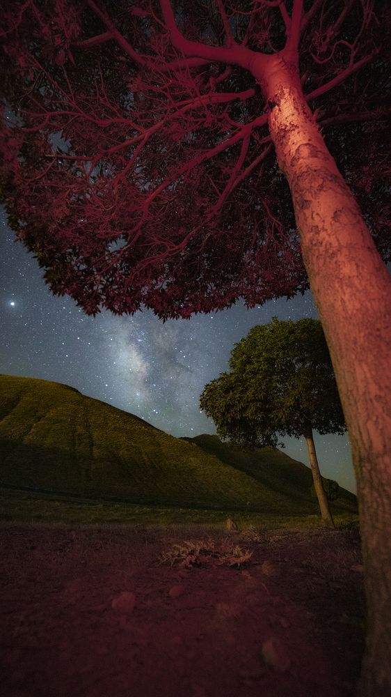 Photograph by Sina Khanbabaei