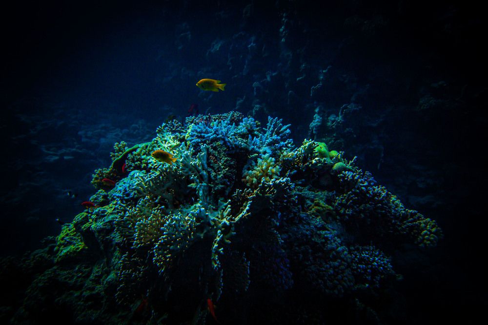 Photograph by Владимир Михайлов