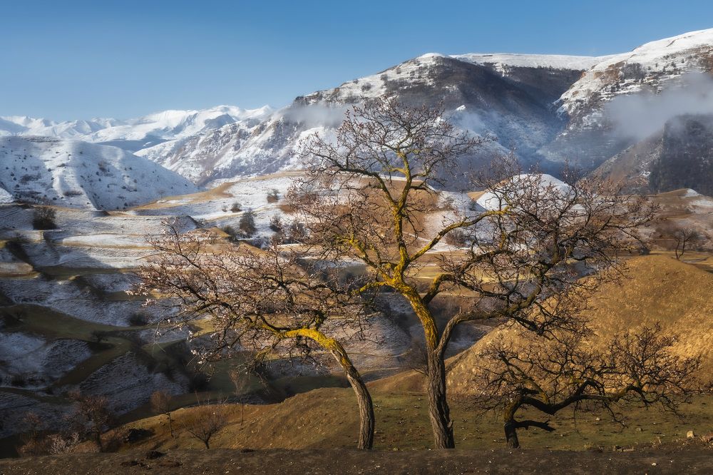 Photograph by Грамаков Юрий