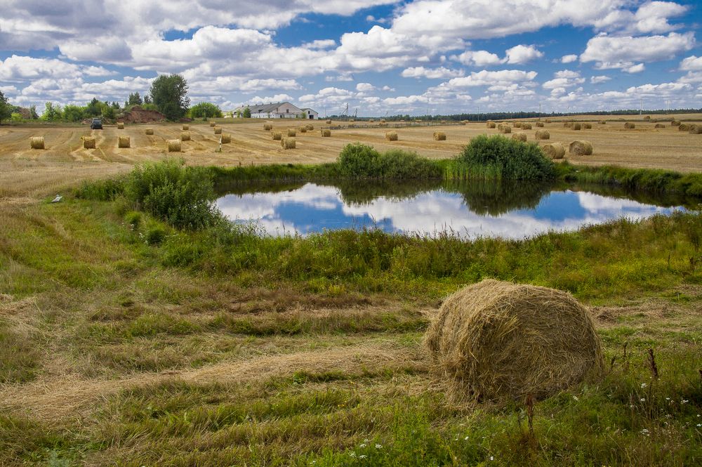 Август в Беларуси - 1