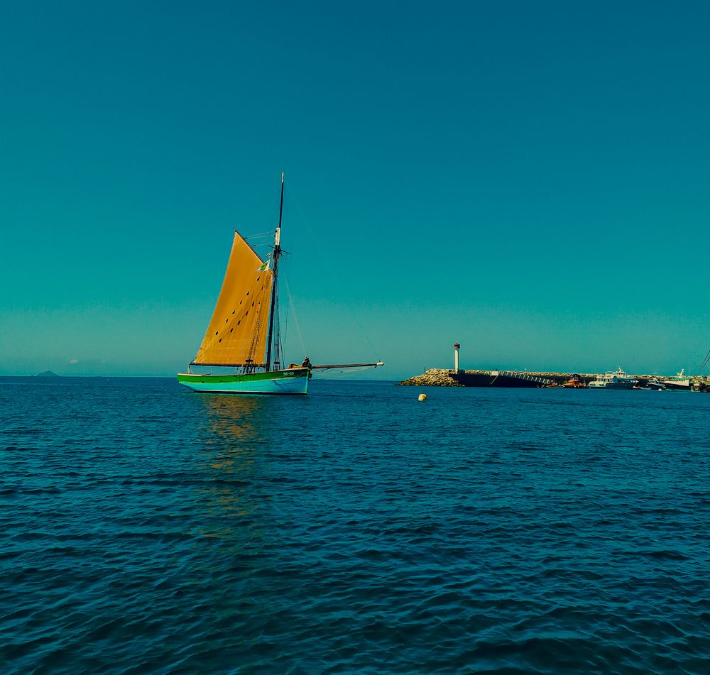 Фотография автора Elena Martynova-Rybczynski