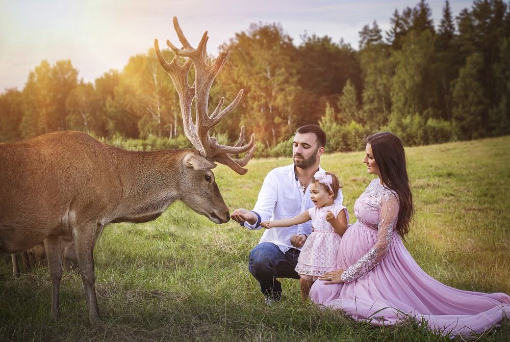 Photograph by Дарья Купчус