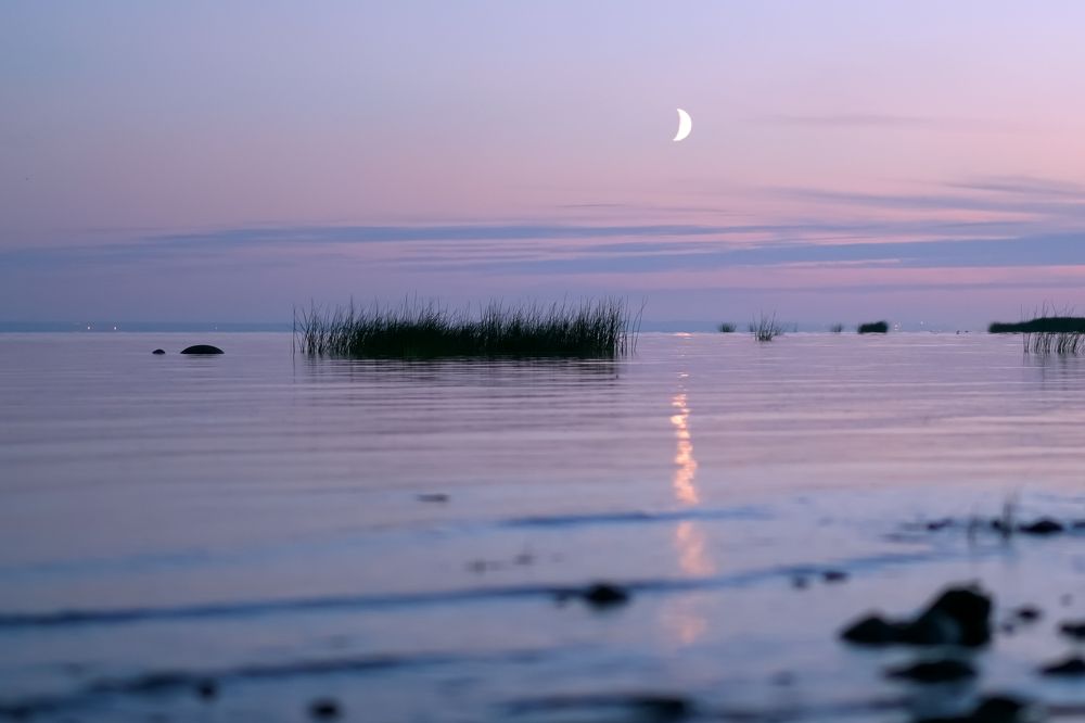 Photograph by Ирина Баландина