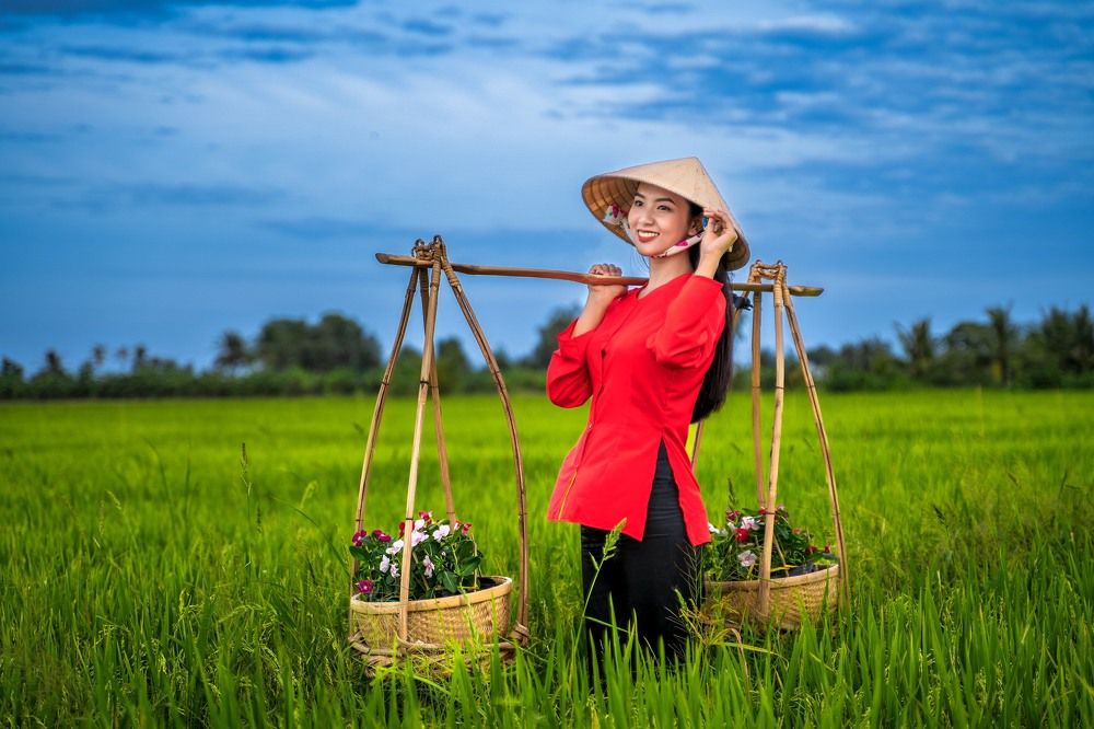 On the rice field