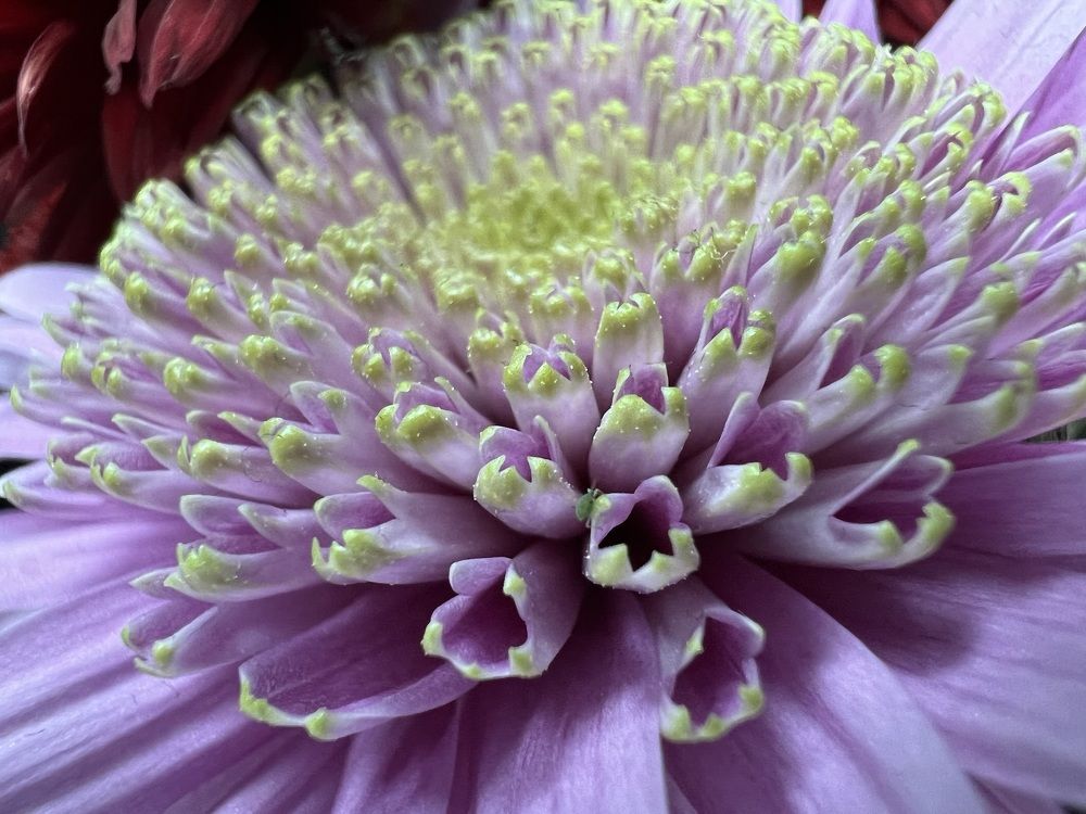 Photograph by Alena Kochergina