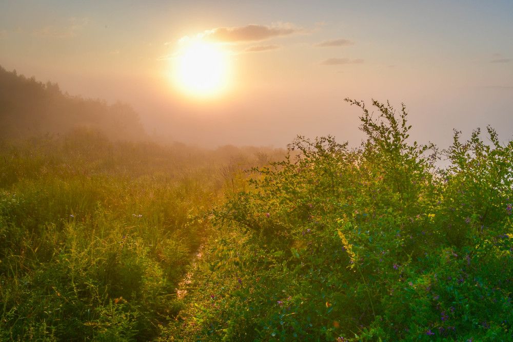 Photograph by Олег Волков